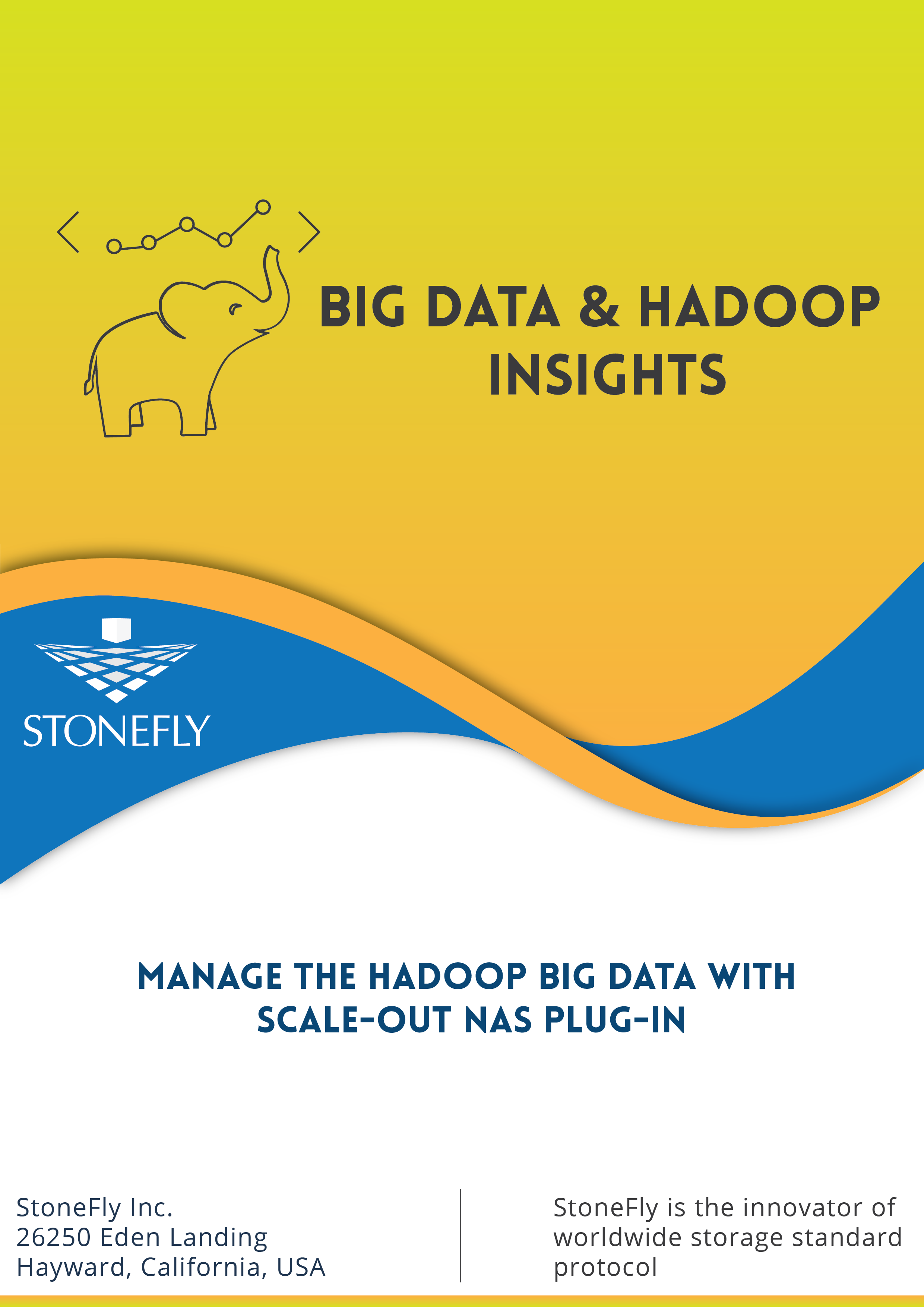 Big Data & Hadoop Insights: Manage the Hadoop Big Data with Scale-Out NAS plug-in