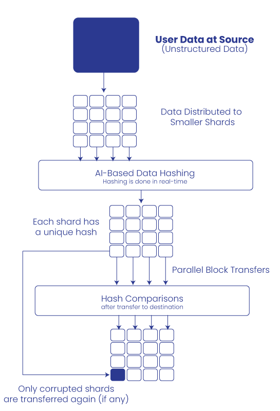 Data Integrity Checks