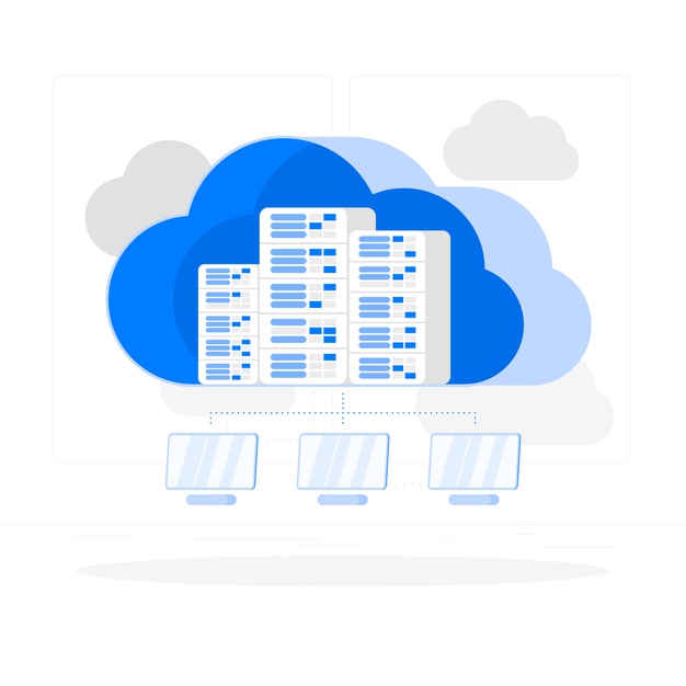 Storage Area Network (SAN)
