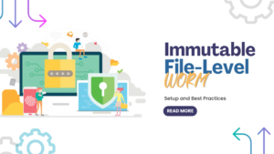 Immutable File-Level WORM: Setup Guide and Best Practices