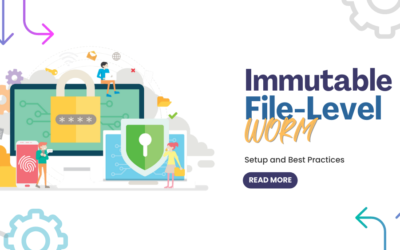 Immutable File-Level WORM: Setup Guide and Best Practices