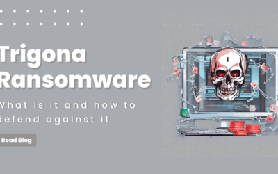 Trigona Ransomware: What is it and How to Defend Against it