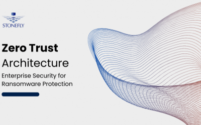Zero Trust: Enterprise Security for Ransomware Protection