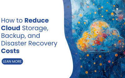 How to Reduce Cloud Storage, Backup, and Disaster Recovery Costs