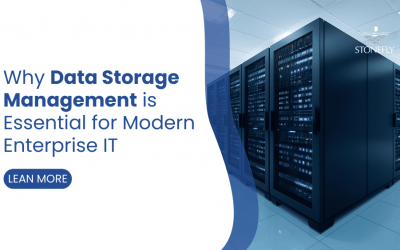 Why Data Storage Management Is Essential for Modern Enterprise IT