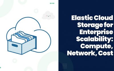 Elastic Cloud Storage for Enterprise Scalability: Compute, Network, Cost