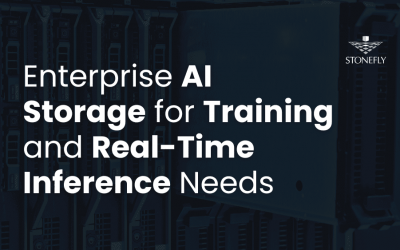 Enterprise AI Storage for Training and Real-Time Inference Needs