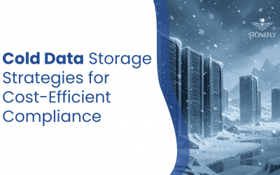 Cold Data Storage Strategies for Cost-Efficient Compliance