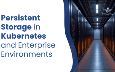 Persistent Storage in Kubernetes and Enterprise Environments